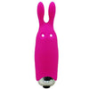 Bunny Pocket Vibe - Godfather Adult Sex and Pleasure Toys