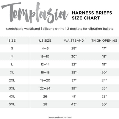 Temptasia Harness Briefs - Large Black
