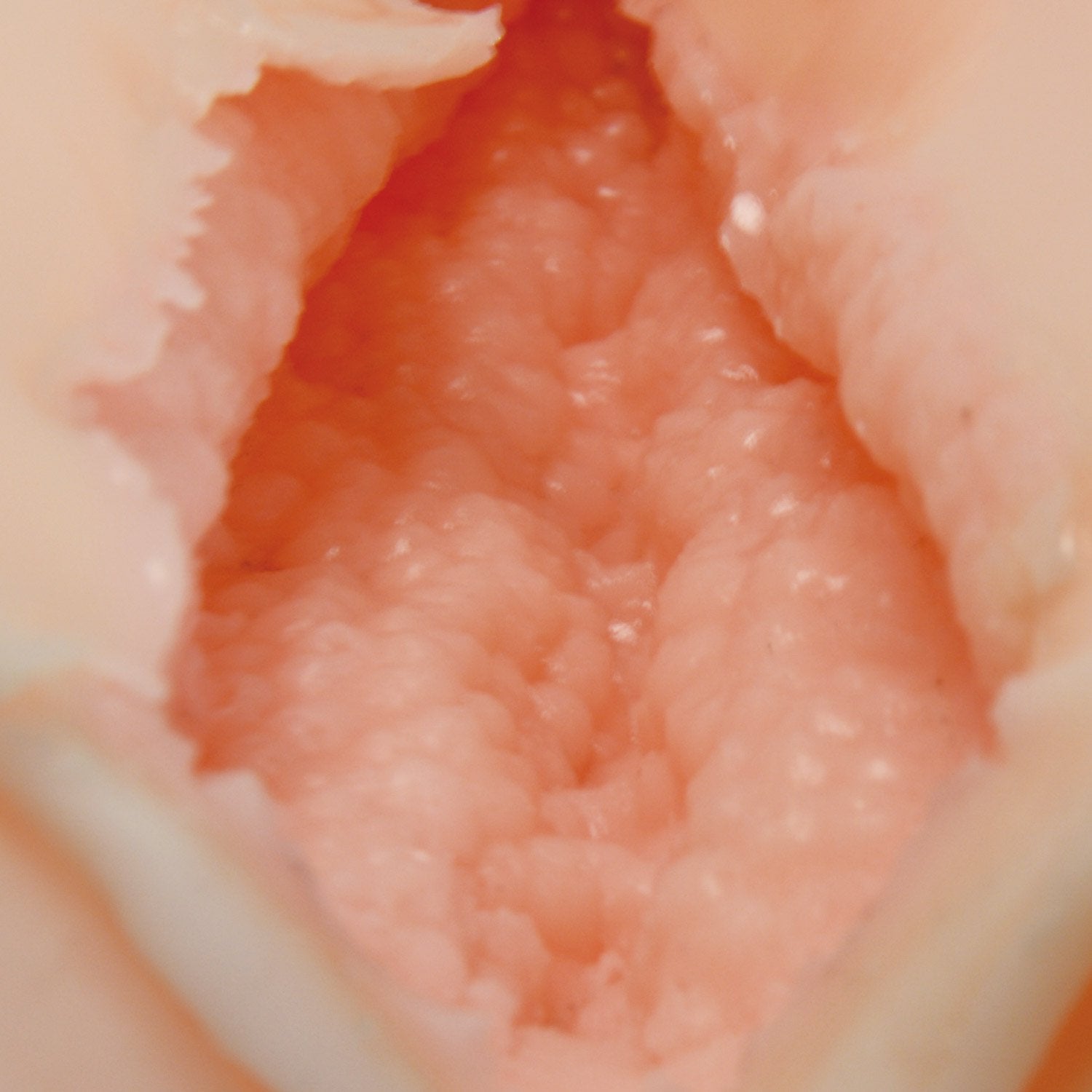 Virgin Vagina Sex Toy for Men