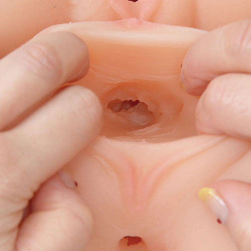 Threesome Onahole - Godfather Adult Sex and Pleasure Toys