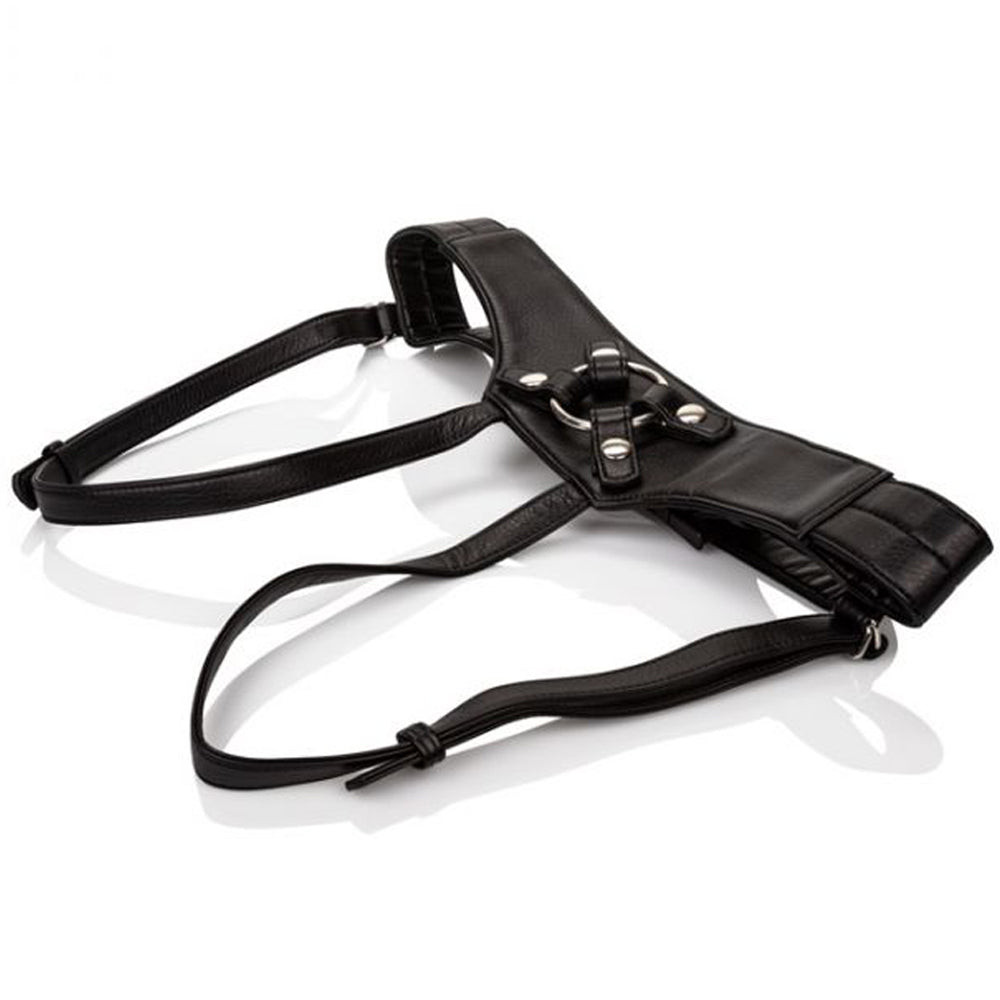 Her Royal Harness The Empress-Black - Godfather Adult Sex and Pleasure Toys