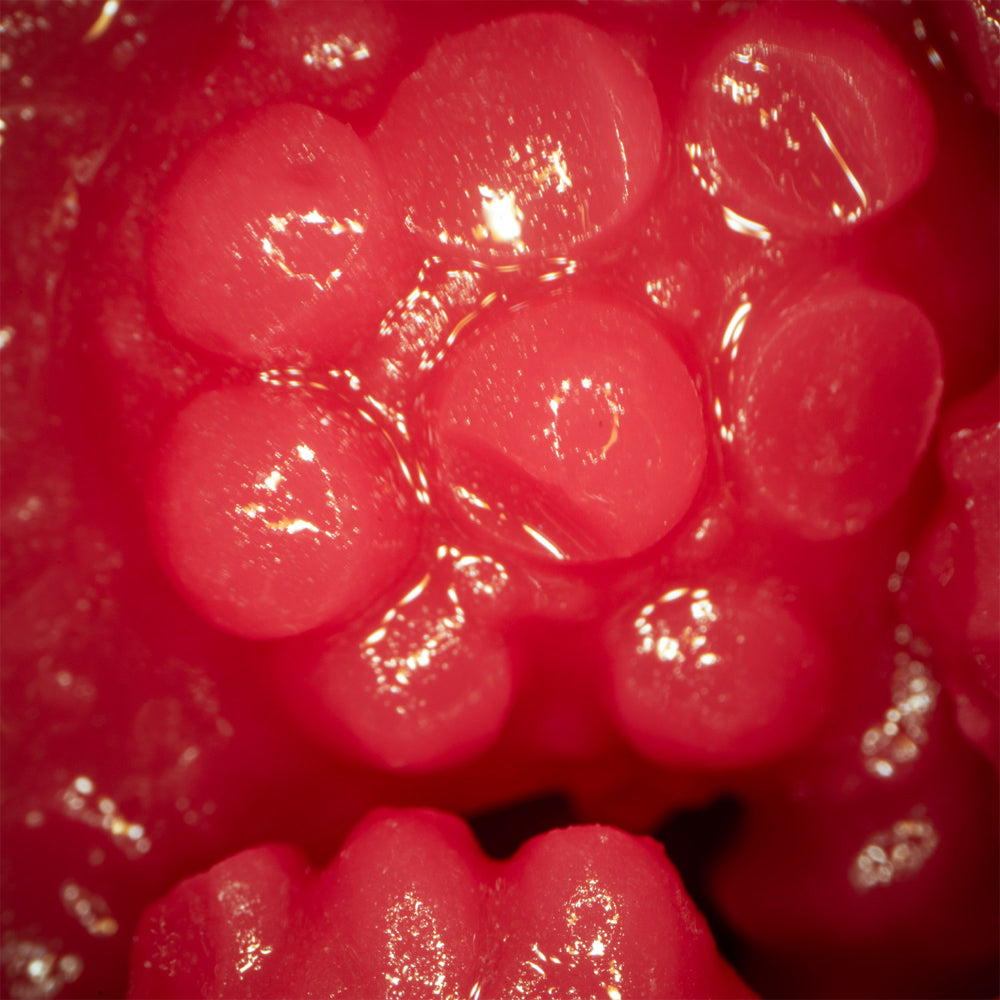 Cuckold Wife Meiki Kirishima Sakura Onahole