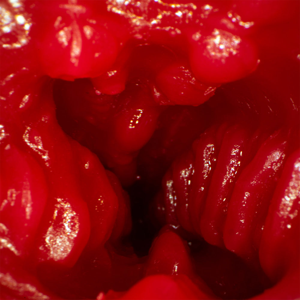 Cuckold Wife Meiki Kirishima Sakura Onahole