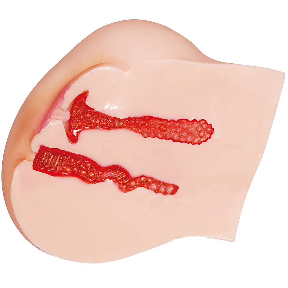 Nippori Ban-Shinsei Real The Sumata