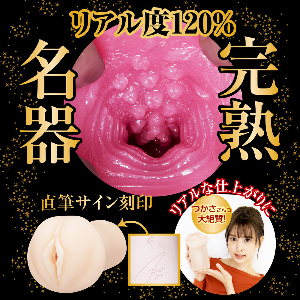 2代目 完熟名器物語 萌えあがる募集若妻 葵つかさ | 2nd Generation Sexually Mature Young Wife Tsukasa Aoi