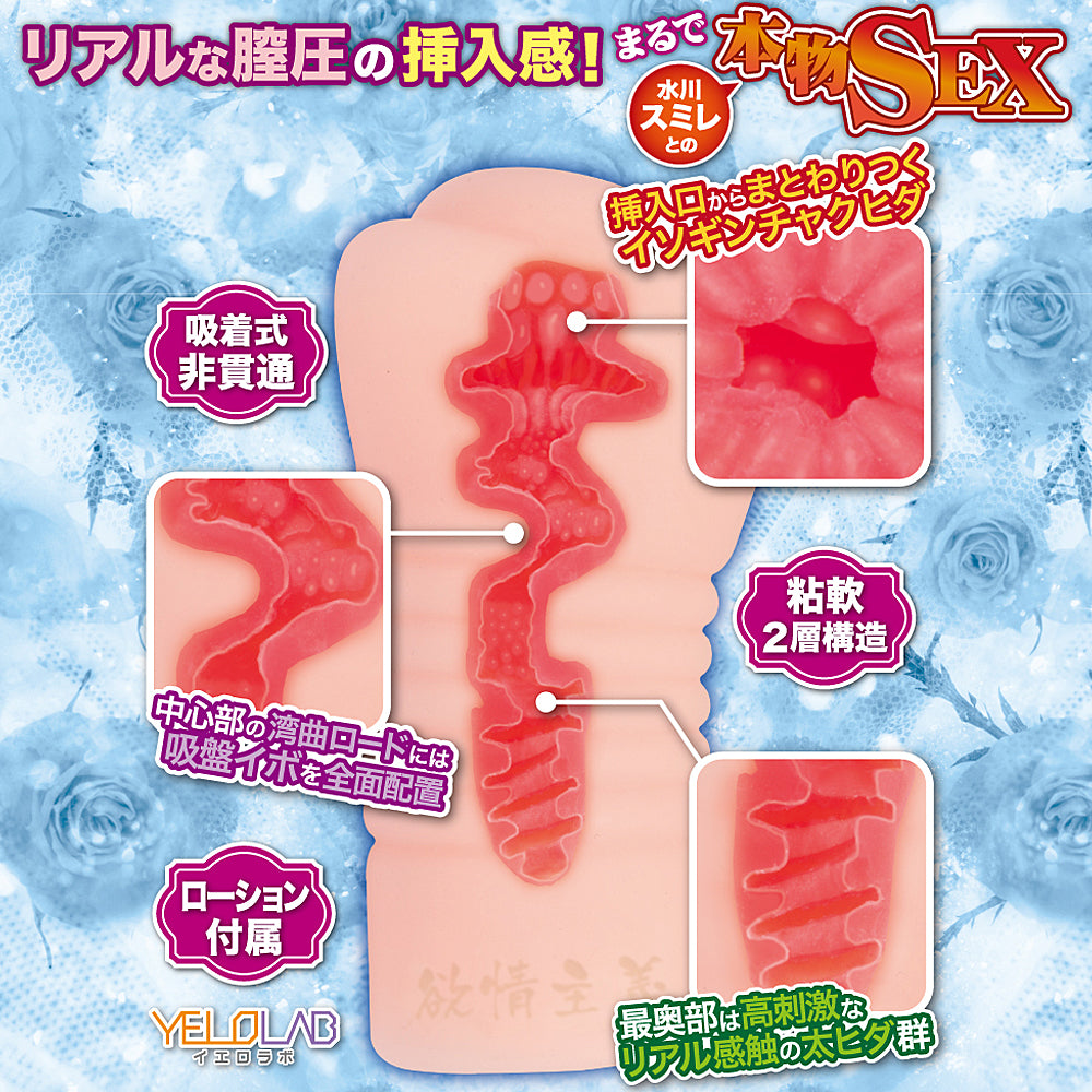 Tokyo Sexual Desire 04 Sumire Mizukawa