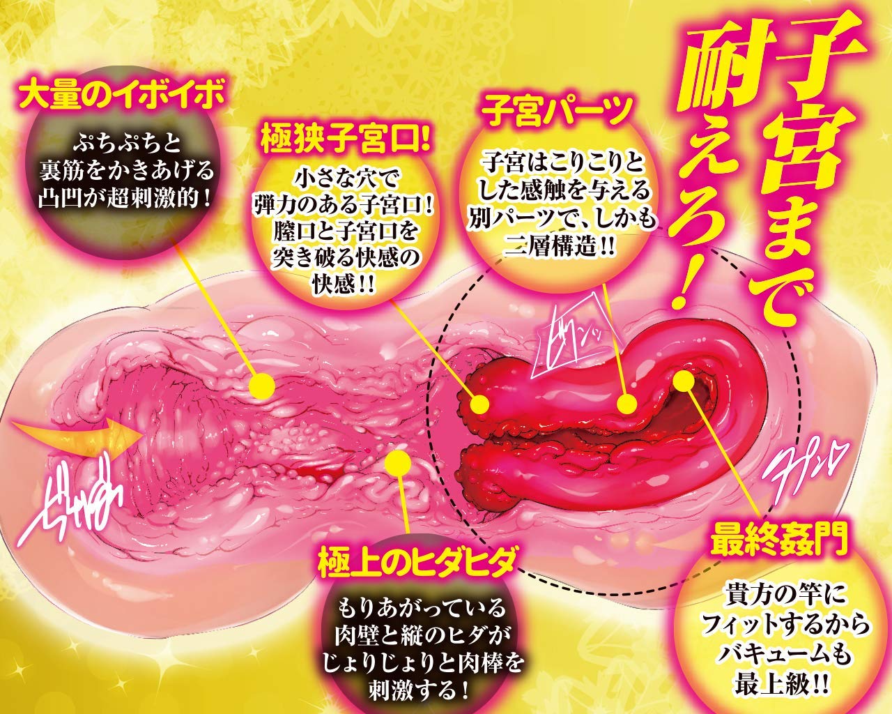 Shikyu Kantsu Uterus Fornicator Onahole