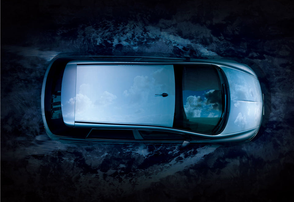 BYD e6 - Godfather Adult Sex and Pleasure Toys