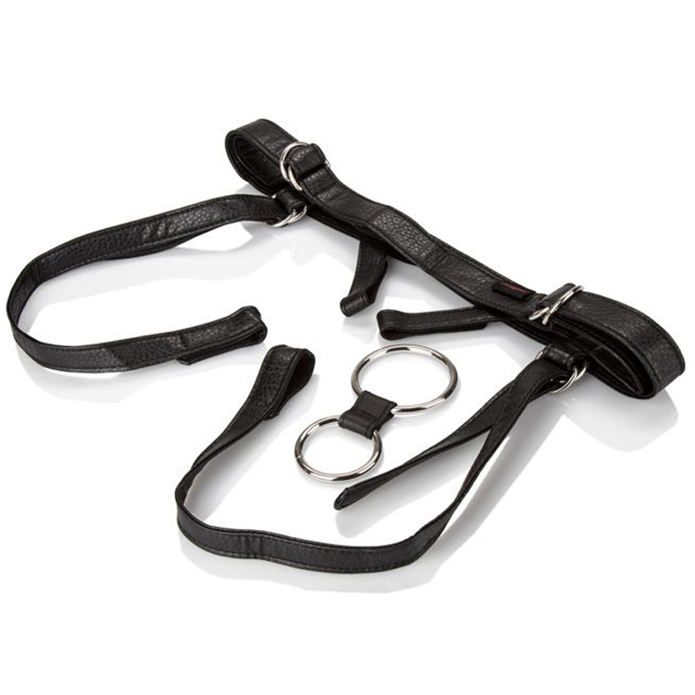 Her Royal Harness The Duchess-Black - Godfather Adult Sex and Pleasure Toys